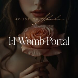 1:1 Womb Portal