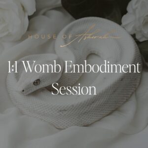 1:1 Womb Embodiment Session